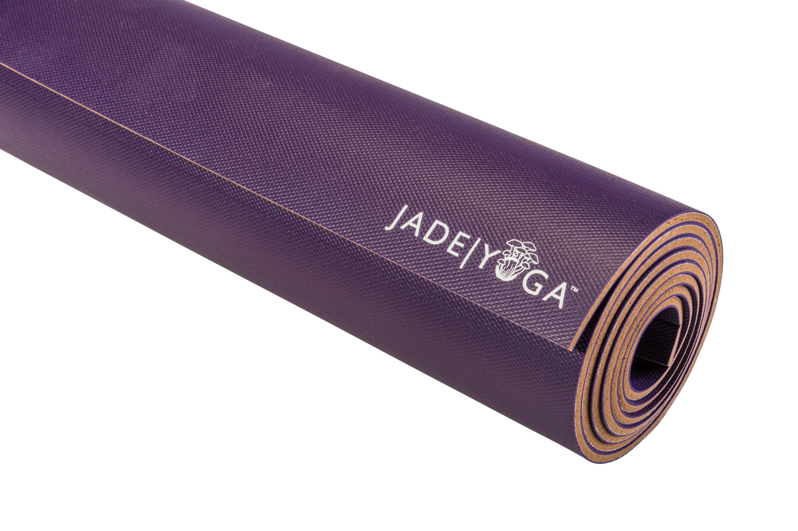 Mushroom_Purple_3.jpg